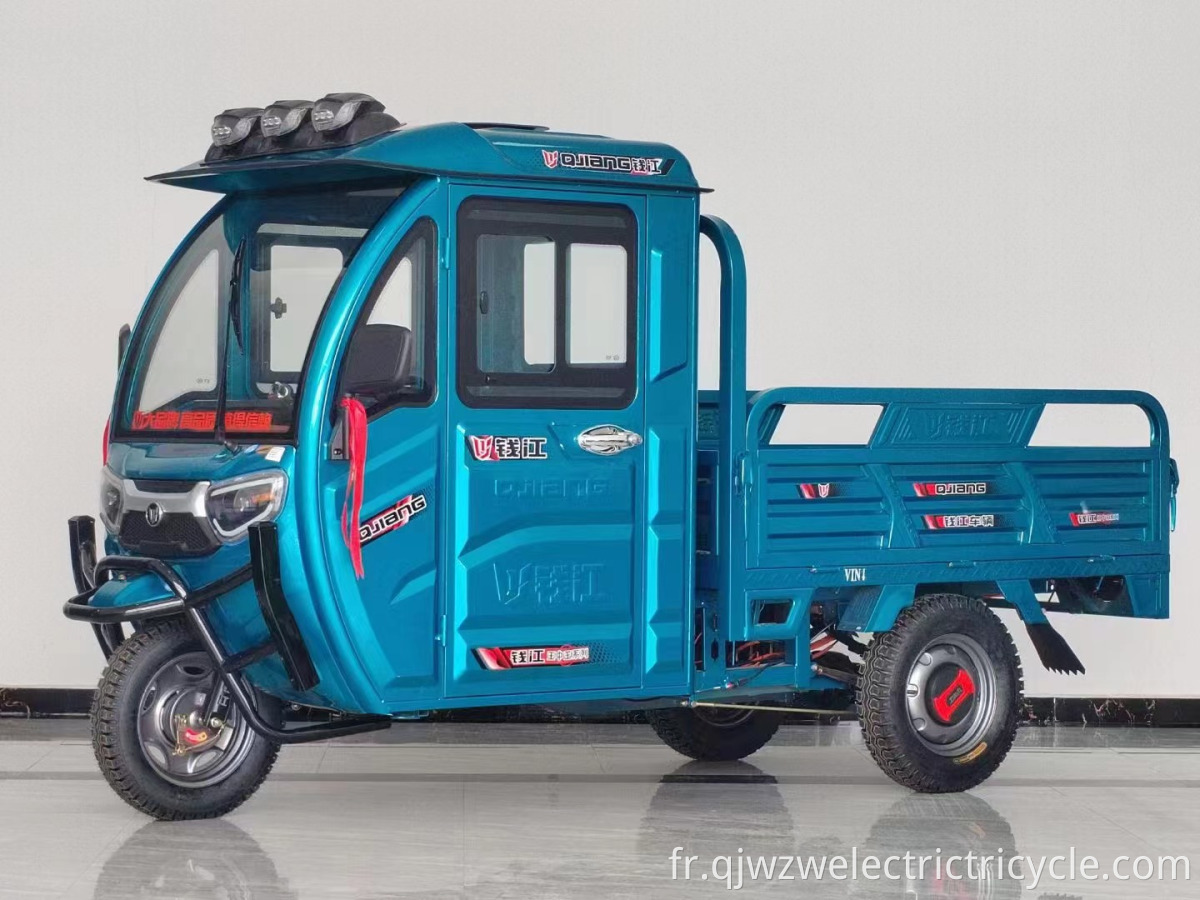 New adults electric trike